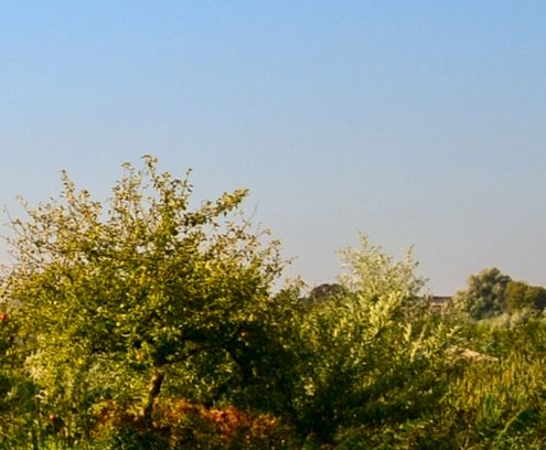 粉象生活的会员会过期吗