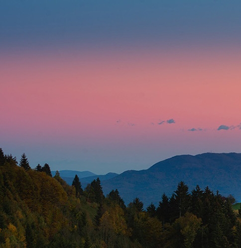 襄樊粉象生活软件粉象生活