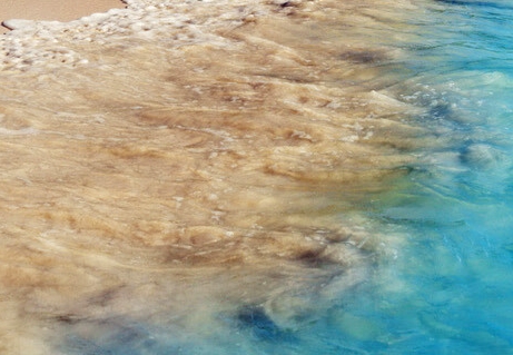 粉象生活邀请码