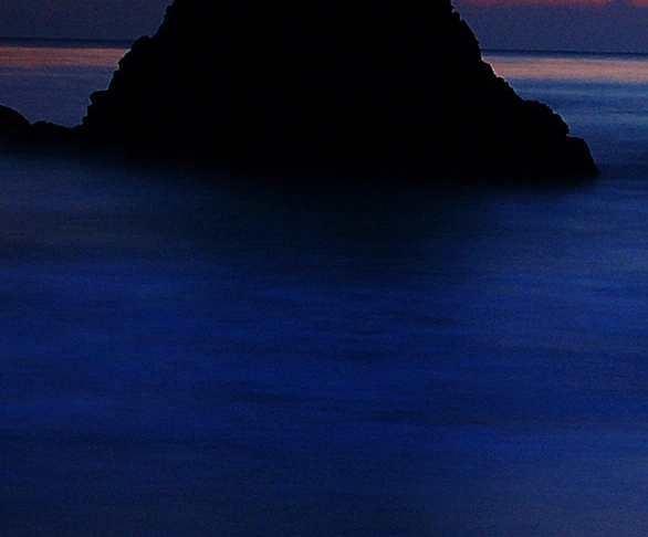 粉象生活获奖证书