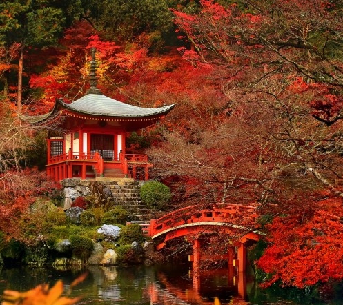 群发术语粉象生活