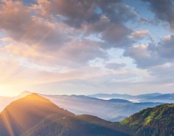 粉象生活靠什么赚钱