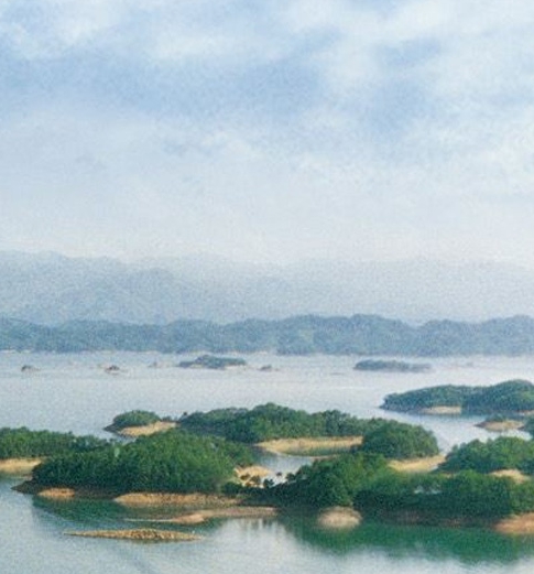 粉象生活股份