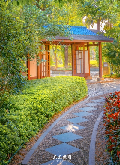惠州粉象生活怎么样