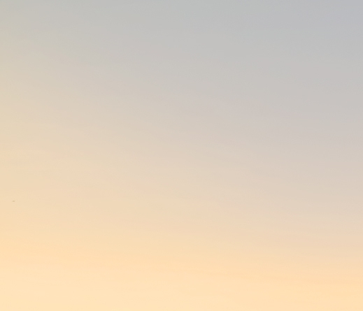 粉象生活省钱吗