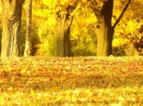 达州粉象生活注册