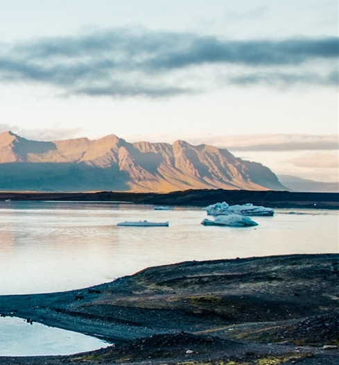河源粉象生活佣金