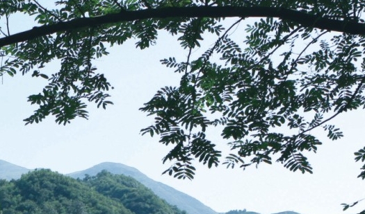 粉象生活能赚到钱吗