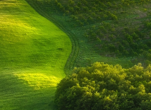 粉象生活新人版