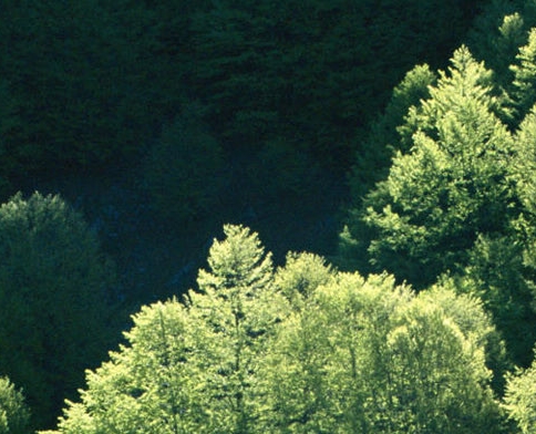 粉象生活怎么更换邀请码