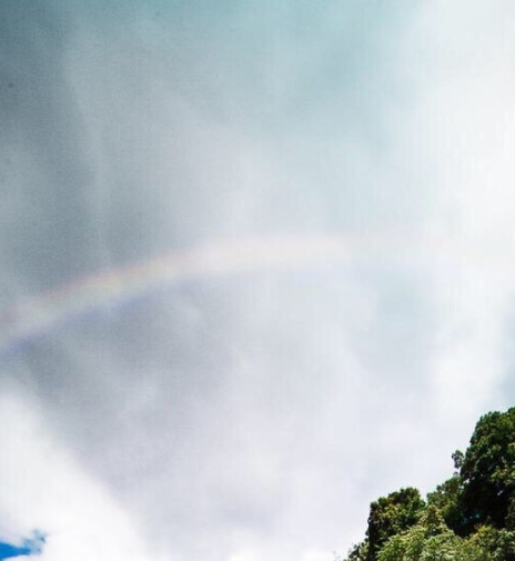 粉象生活是干嘛的