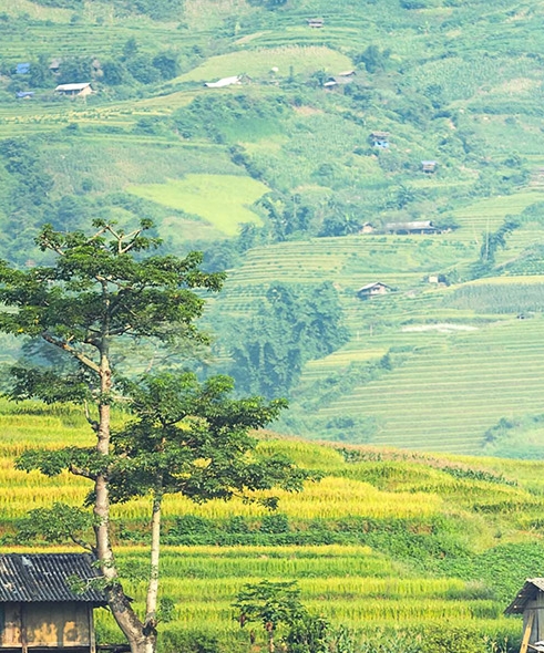 深圳粉象生活使用教程