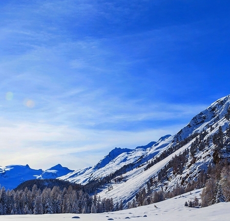 粉象生活外卖板块