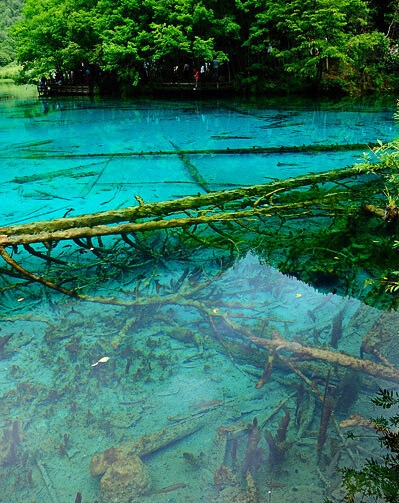 粉象生活怎么注册优酷