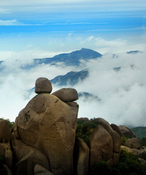 粉象生活和淘宝什么关系