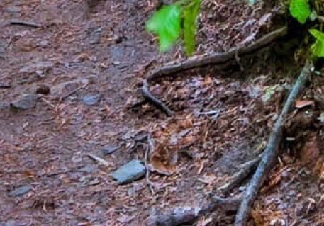 注册粉象生活有风险吗