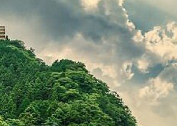 粉象生活怎么领取水果