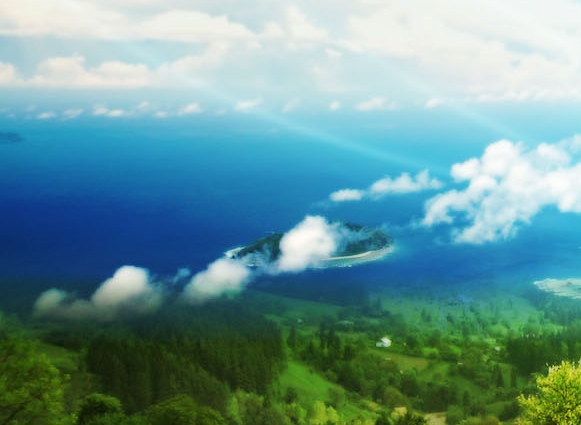 粉象生活的自媒体收益