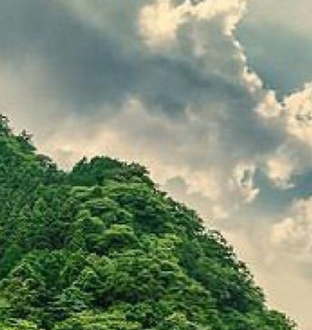 粉象生活邀请码