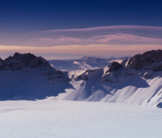 粉象生活是什么?