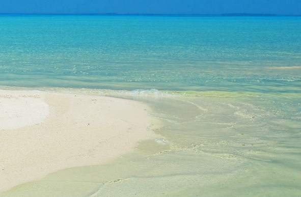 粉象生活邀请码