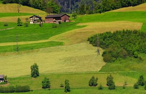 三七粉哪里产地最好