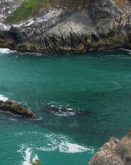 粉象生活为什么要20个合伙人