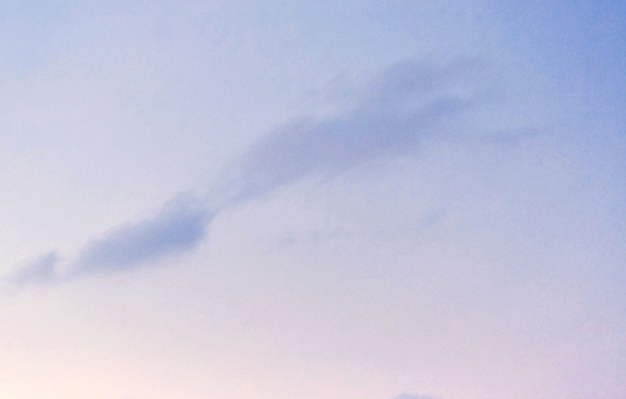 莆田粉象生活拼多多