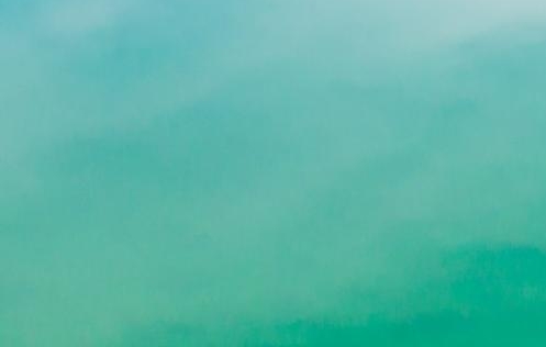 李红星 粉象生活