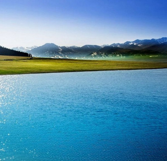 亳州粉象生活推广注册申请