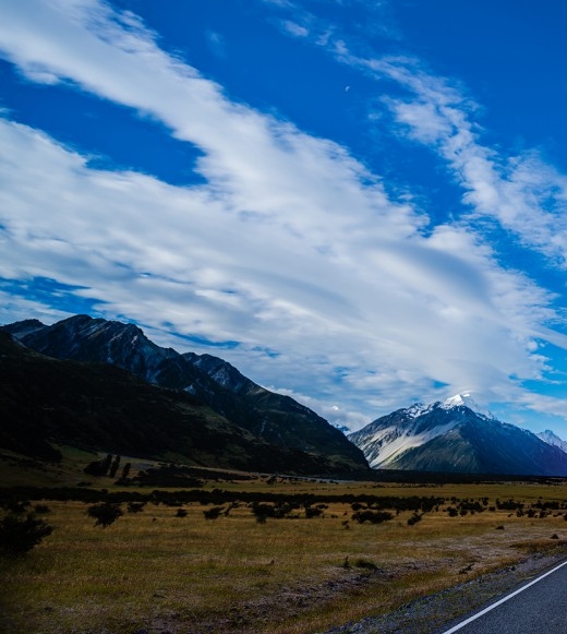 粉象生活团队怎么找