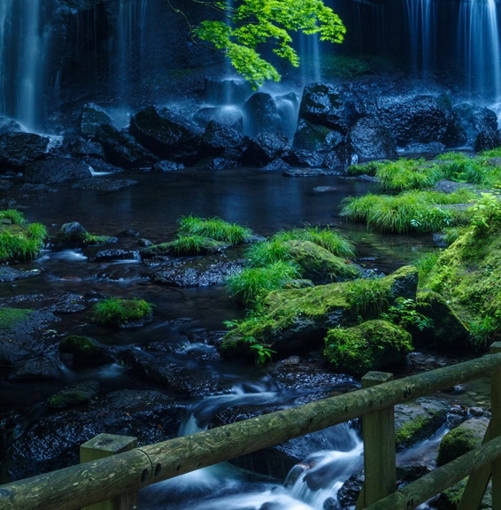 比粉象生活返利还高的软件