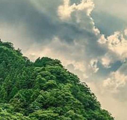 粉象生活粉丝积分怎么样弄