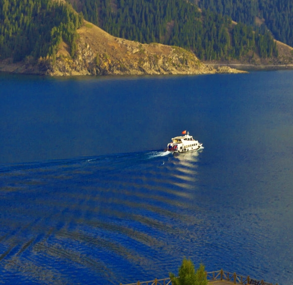 粉象生活没有券