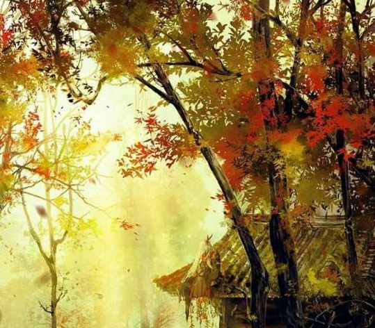 粉象生活创业感想