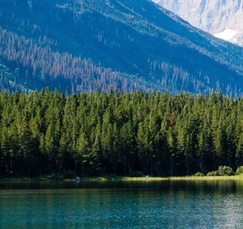 粉象生活怎么赚钱