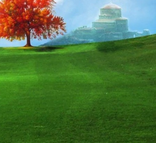 15岁女粉象父母借5000买