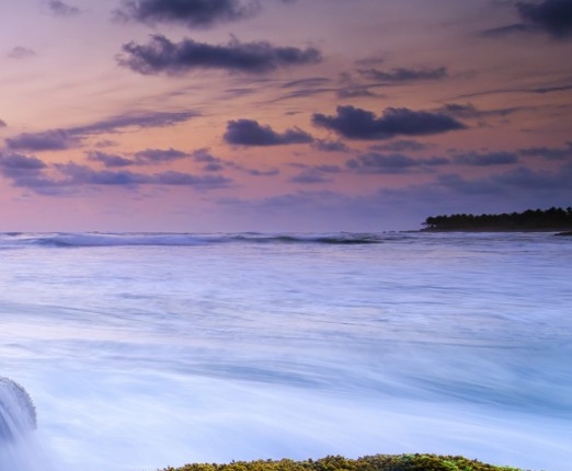 粉象生活id怎么填粉象生活