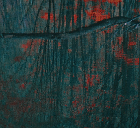 粉象生活下载app