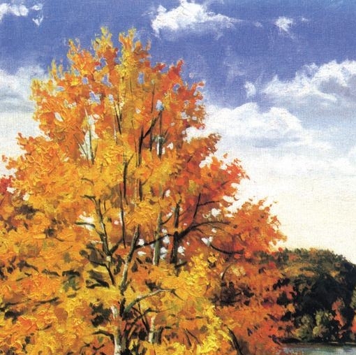 注册粉象生活有风险吗