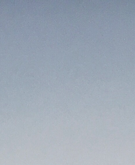 粉象生活是干嘛的