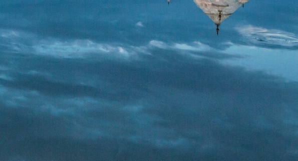 粉象生活创业怎么做赚钱