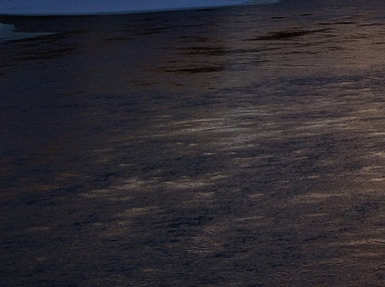 粉象生活邀请码