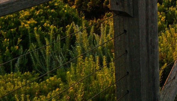 粉象生活的订单怎样查物流