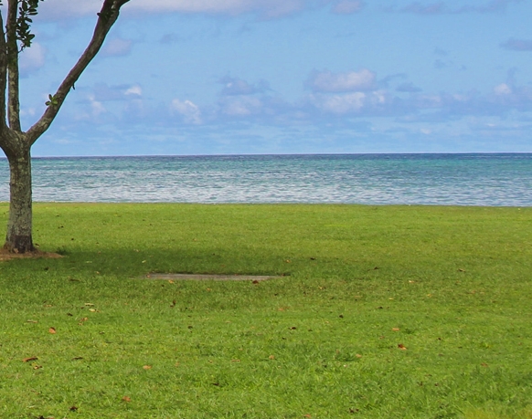 淘宝粉象生活下载