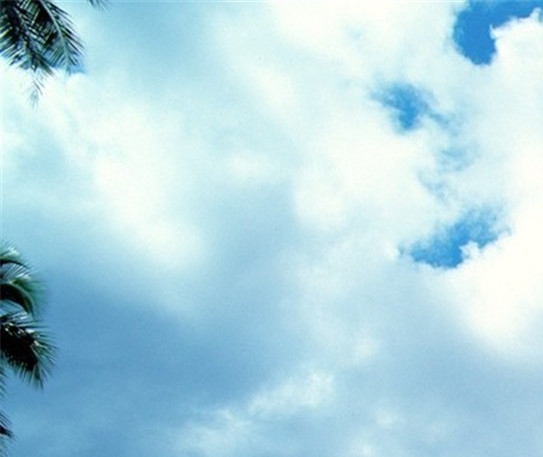 粉象生活如何申请团队