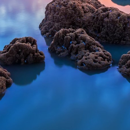 粉象生活李红星简历