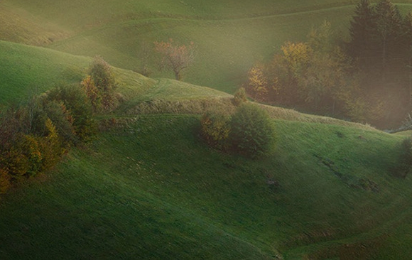 粉象生活阿玛尼