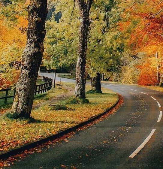 分享生活粉象生活