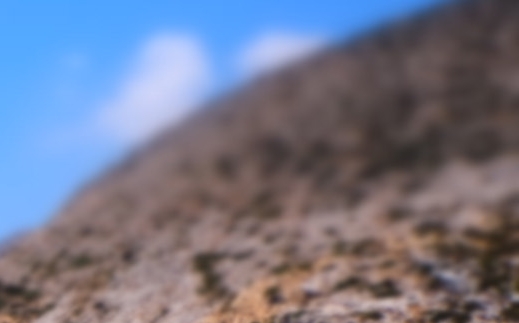 粉象生活的商机